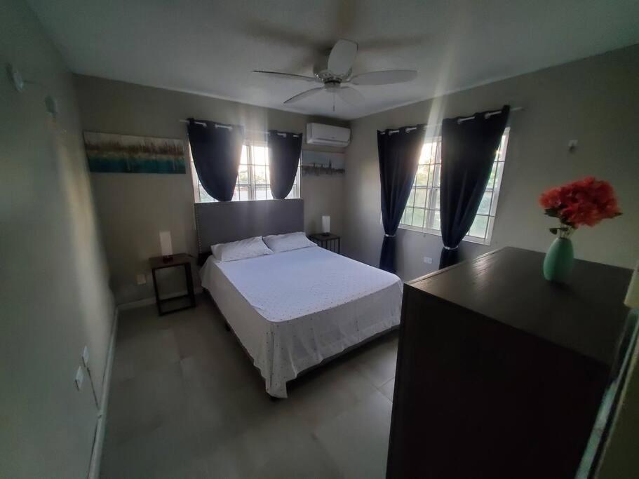 Modern Apartment At The Worthington Kingston Ngoại thất bức ảnh